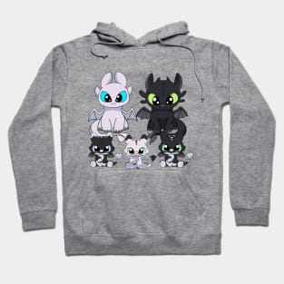 Family dragons, how to train your dragon Toothless & Light fury, night fury babies Hoodie